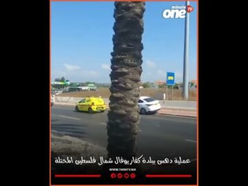 خاص: [ID: Lk4A1Ku8egU] Youtube Automatic