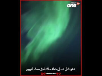 خاص: [ID: dpi-AXx3Ezo] Youtube Automatic