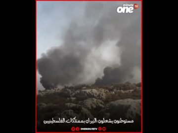 خاص: [ID: Uecf6HWH254] Youtube Automatic