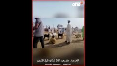 خاص: [ID: uvZ6LO6aMo8] Youtube Automatic