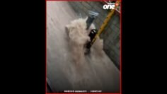 خاص: [ID: gxUq8ZjGmTI] Youtube Automatic