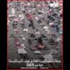 خاص: [ID: h16chlS6D9E] Youtube Automatic