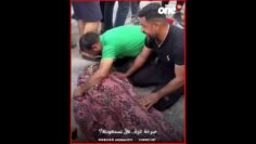 خاص: [ID: QAnfVnqArhs] Youtube Automatic